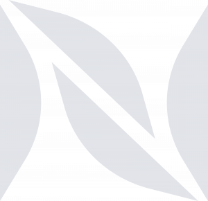 New Nature Landscaping photo 4